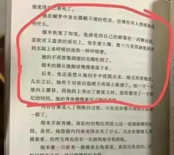 颠倒歌ppt图片（颠倒歌ppt课件小槐树）