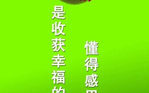 懂得作文800字（懂得作文开头结尾）