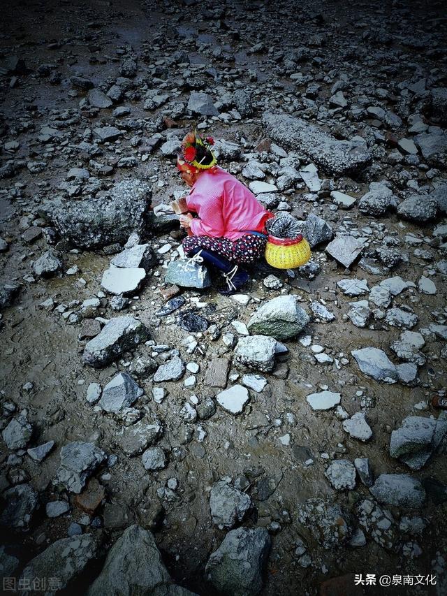 谈谈美食普通话三分钟西红柿炒鸡蛋（谈谈美食普通话三分钟说话稿）