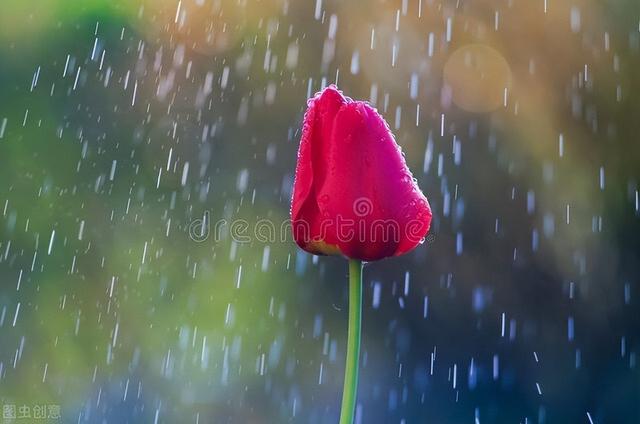 雨的诗歌自己编的四年级，雨的诗歌自己编的小学生！