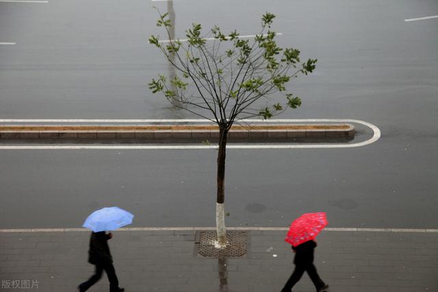 雨的诗歌自己编的四年级，雨的诗歌自己编的小学生！