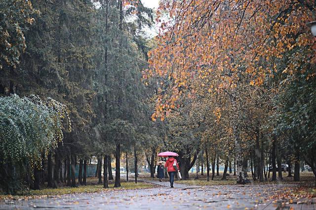 雨的诗歌自己编的四年级，雨的诗歌自己编的小学生！