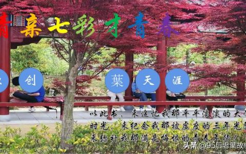 加入学生会申请书500字，新生加入学生会申请书500字！