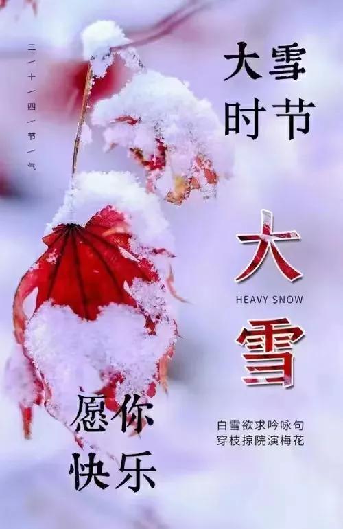 冬天的第一场雪文案我的爱情，冬天的第一场雪文案200字！