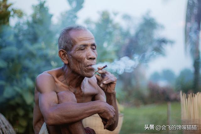 真实的生活为话题作文800字指导，真实的生活为话题作文800字大学！