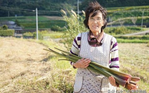 真实的生活为话题作文800字指导，真实的生活为话题作文800字大学！