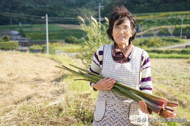 真实的生活为话题作文800字指导，真实的生活为话题作文800字大学！