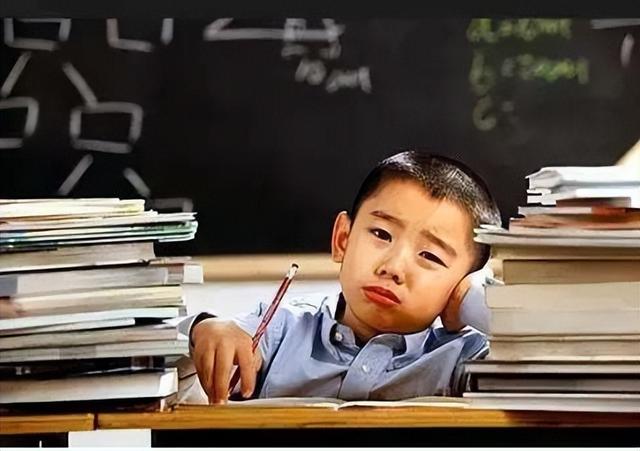 小学生学习软件大全，适合小学生学的免费软件