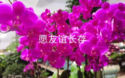 写给同学的话暖心简短，写给同学的话暖心简短一句