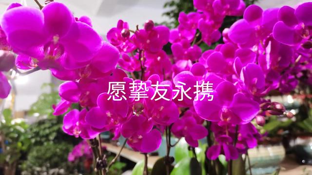 写给同学的话暖心简短，写给同学的话暖心简短一句