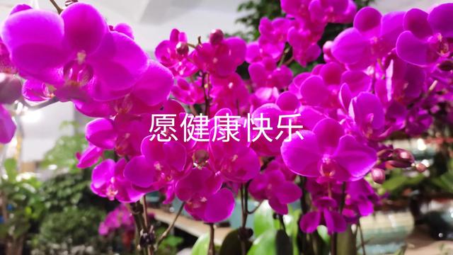 写给同学的话暖心简短，写给同学的话暖心简短一句