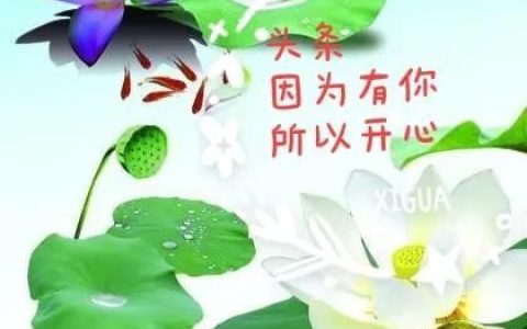 企业管理培训心得体会，个人工作感悟及心得短句