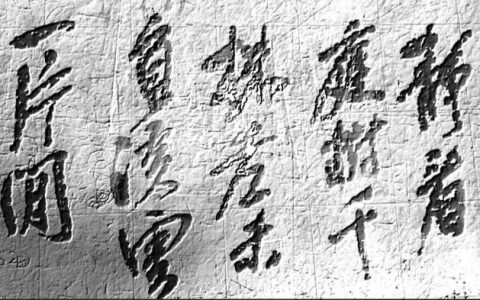 书香伴我行作文800字，书香伴我行作文800字高中