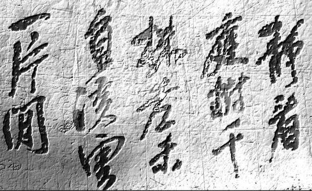 书香伴我行作文800字，书香伴我行作文800字高中