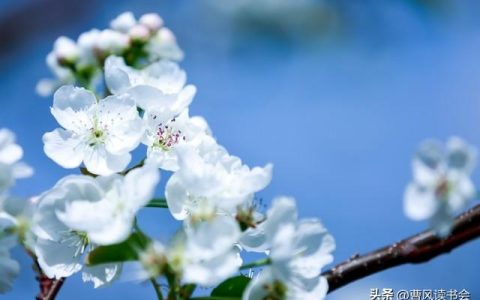 带云字的诗句飞花令，带云字的诗句飞花令100句